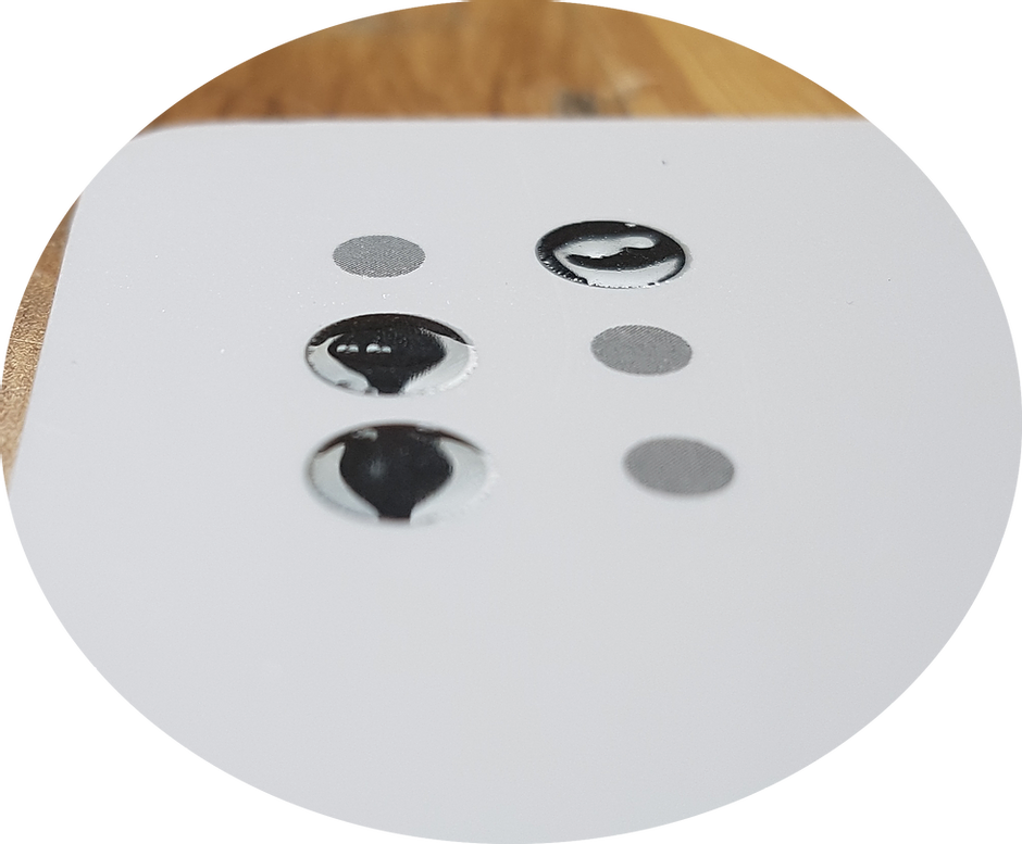 NEU!!! Anlautkarten zum Sehen, Fühlen und Begreifen mit Brailleschrift