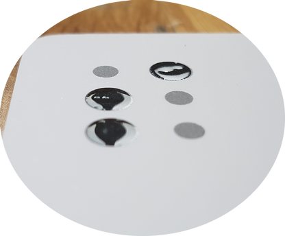 NEU!!! Anlautkarten zum Sehen, Fühlen und Begreifen mit Brailleschrift