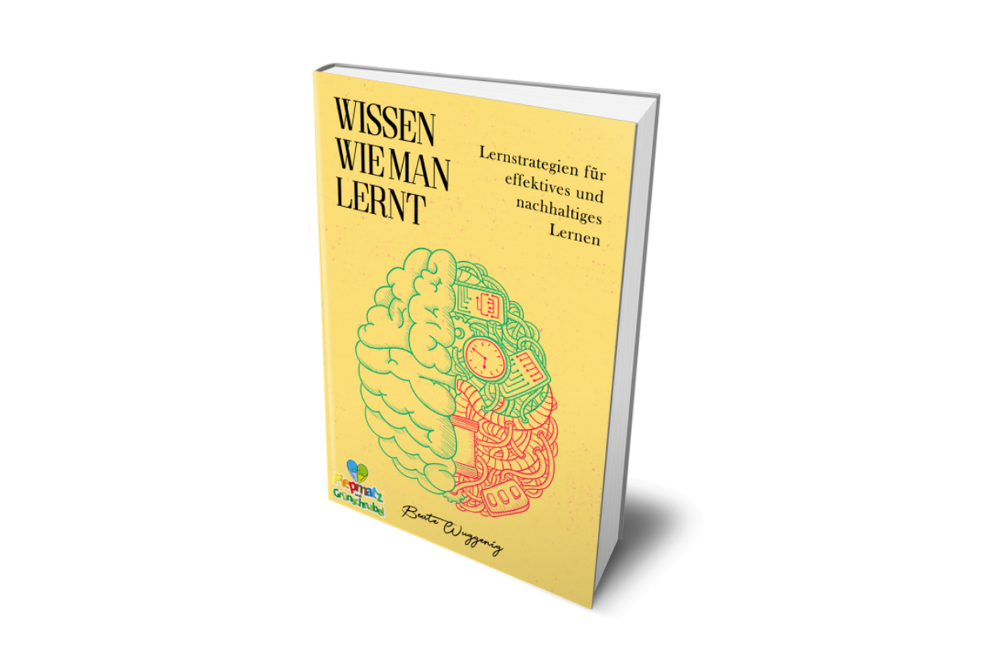 “WISSEN WIE MAN LERNT” Lernstrategien - piepmatzundgrünschnabel