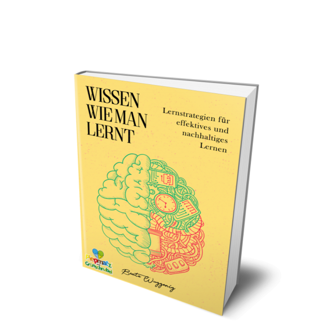 “WISSEN WIE MAN LERNT” Lernstrategien - piepmatzundgrünschnabel